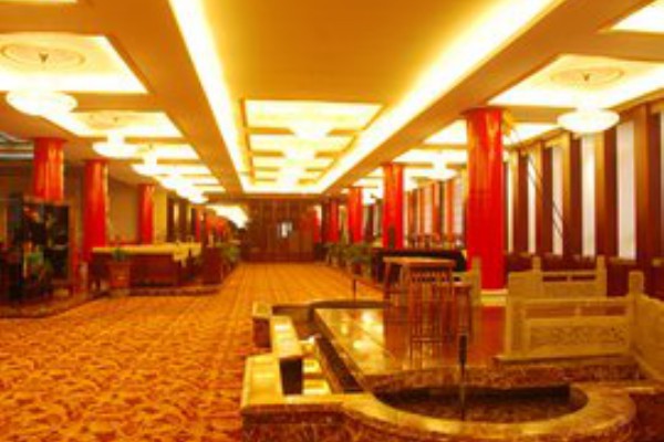 成都特色茶馆，品味生活新选择(成都特色茶馆推荐)